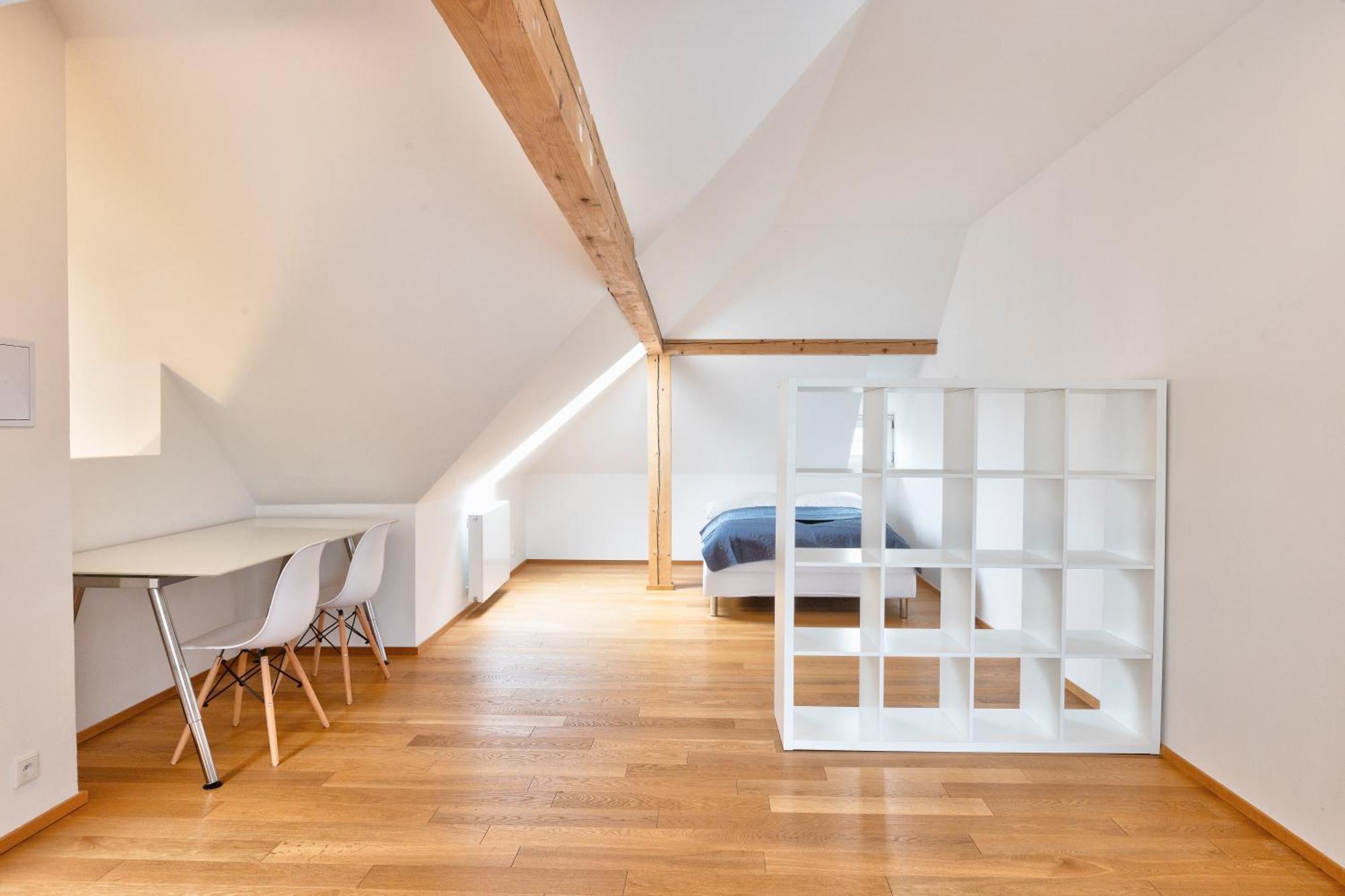 Luxury&spacious 140m2 Two Floor Rooftop Apartmán Praha