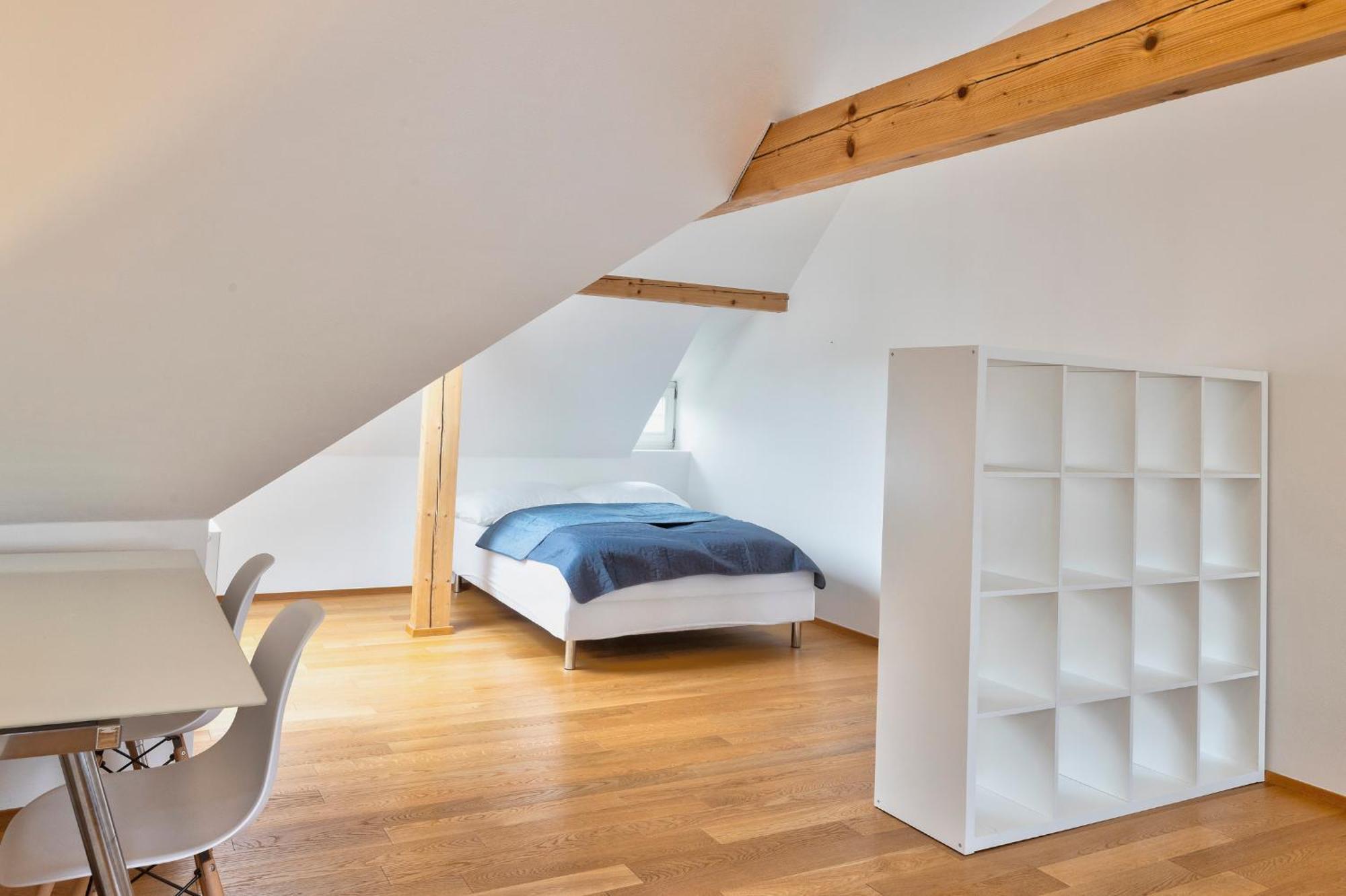 Luxury&spacious 140m2 Two Floor Rooftop Apartmán Praha